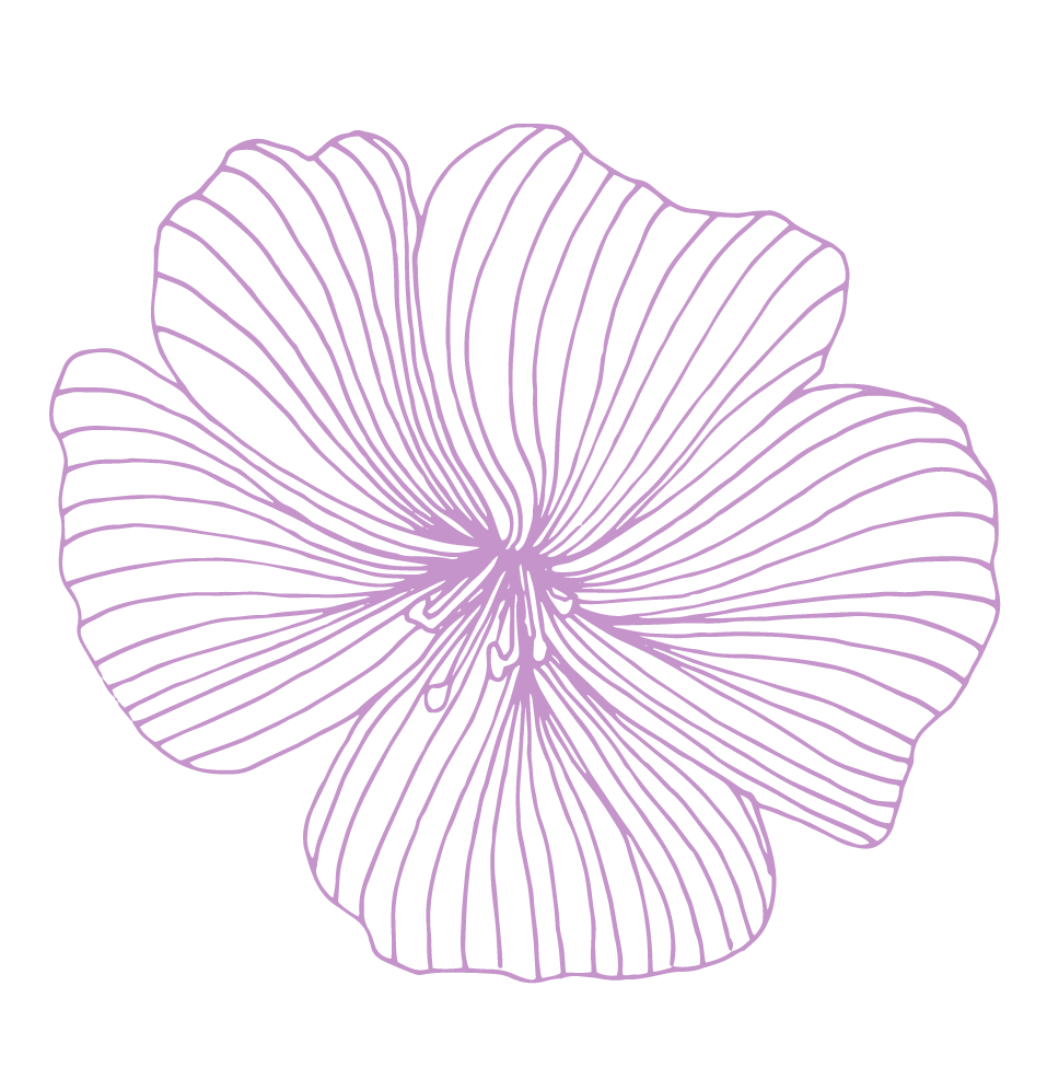 blume5-kosmetik-friseur-idunn-wolpertshausen